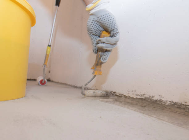 Best Pest Exclusion Services  in Northampton, PA